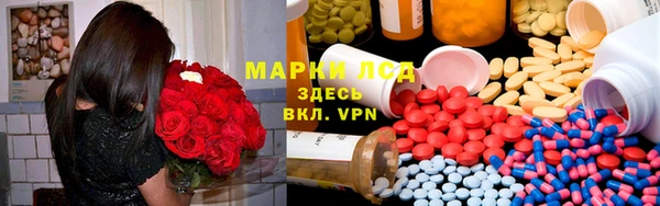 крисы Надым