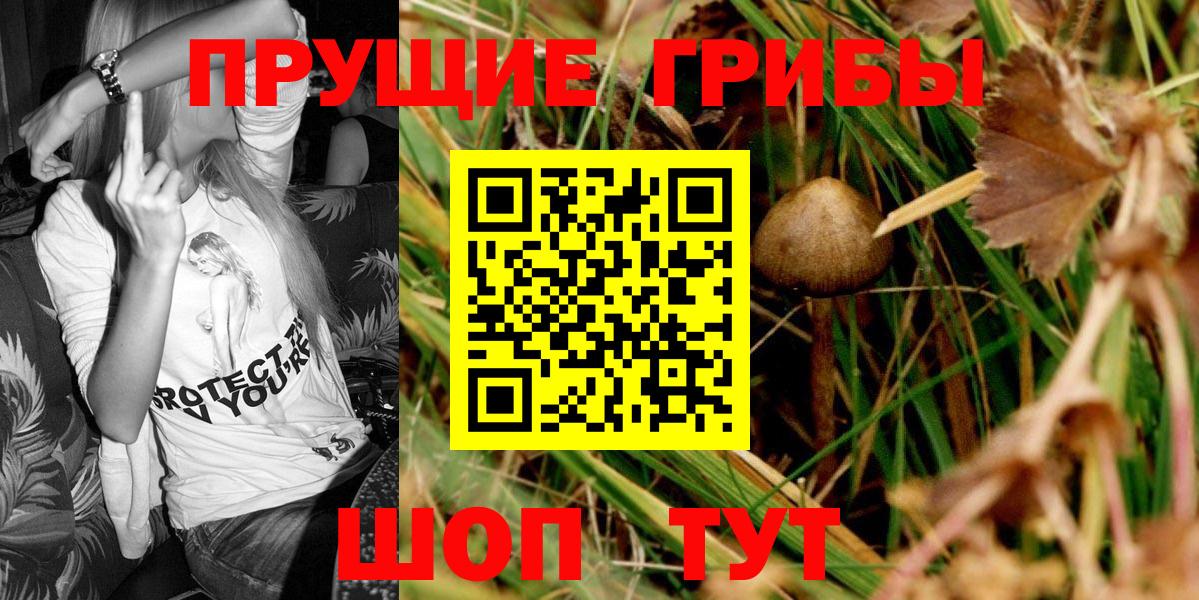 Темрюк  Галлюциногенные грибы GOLDEN TEACHER  Вход с VPN 